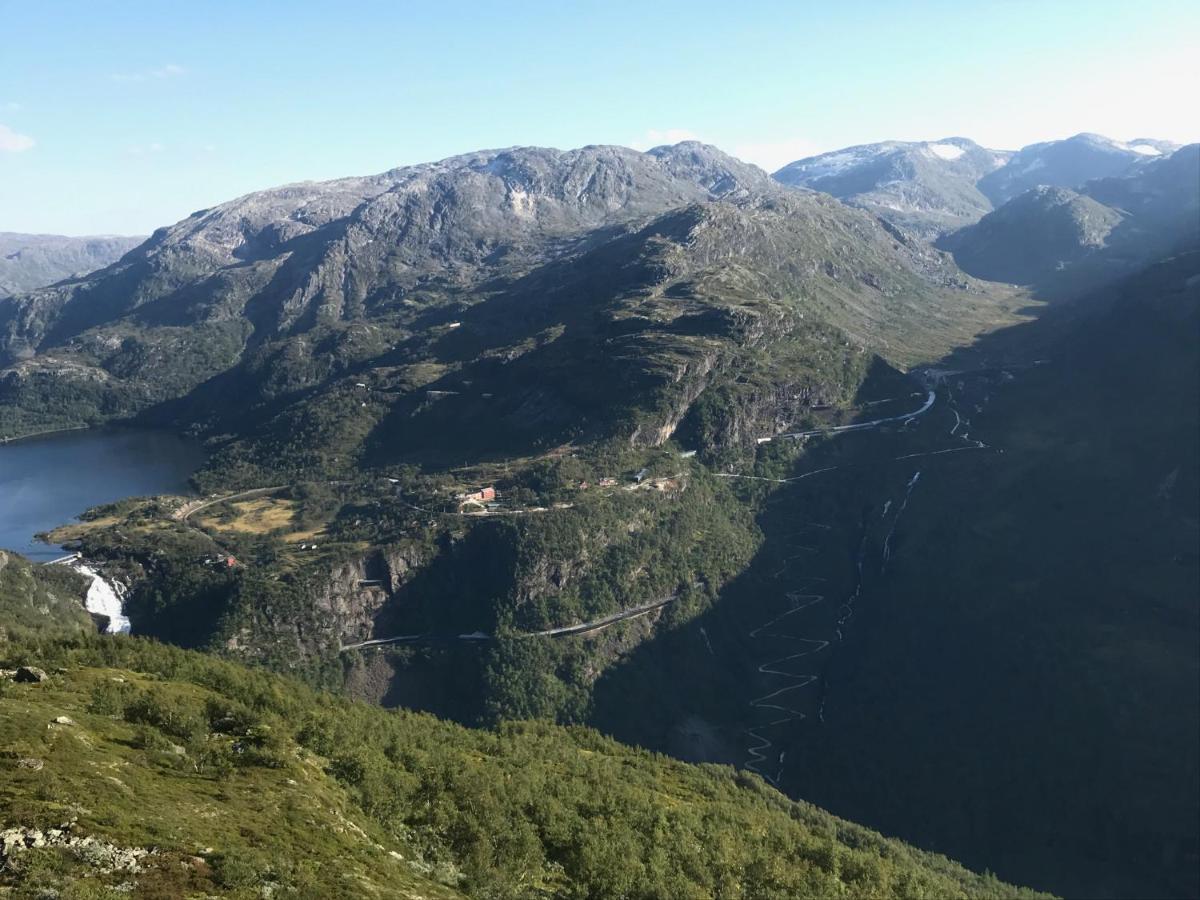 Vatnahalsen Hoyfjellshotell Myrdal Exteriér fotografie