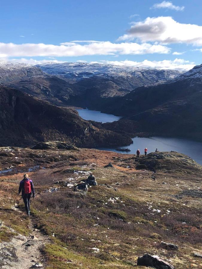 Vatnahalsen Hoyfjellshotell Myrdal Exteriér fotografie
