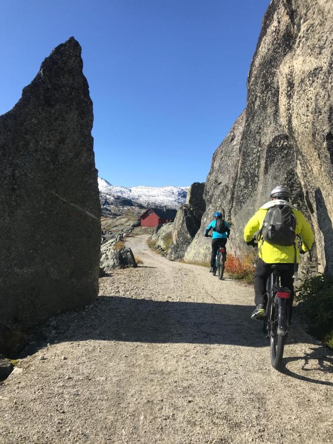 Vatnahalsen Hoyfjellshotell Myrdal Exteriér fotografie