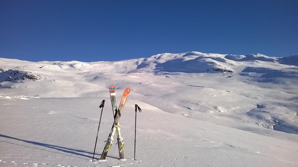 Vatnahalsen Hoyfjellshotell Myrdal Exteriér fotografie