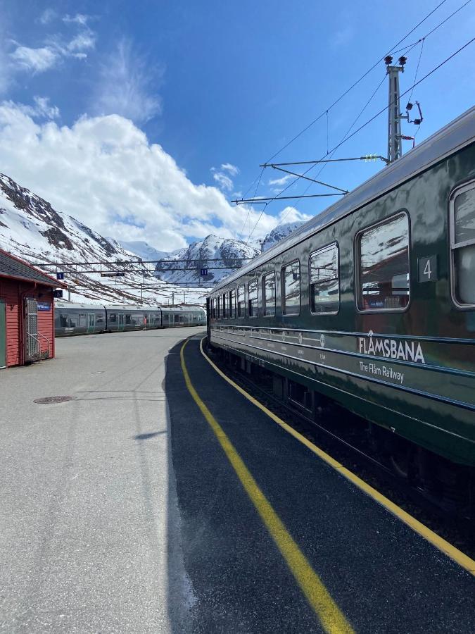 Vatnahalsen Hoyfjellshotell Myrdal Exteriér fotografie