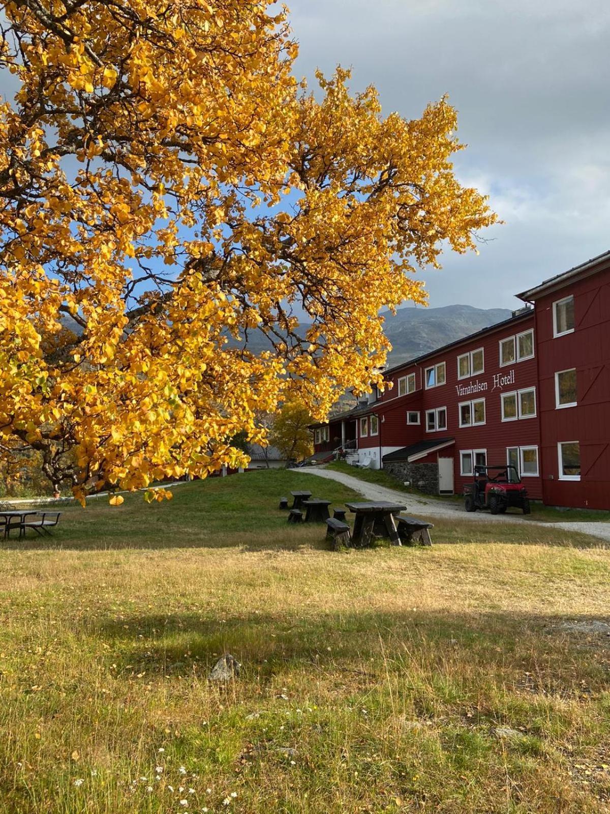 Vatnahalsen Hoyfjellshotell Myrdal Exteriér fotografie