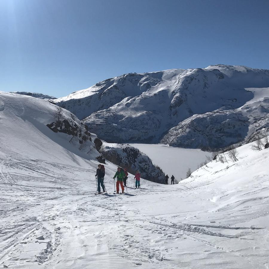Vatnahalsen Hoyfjellshotell Myrdal Exteriér fotografie